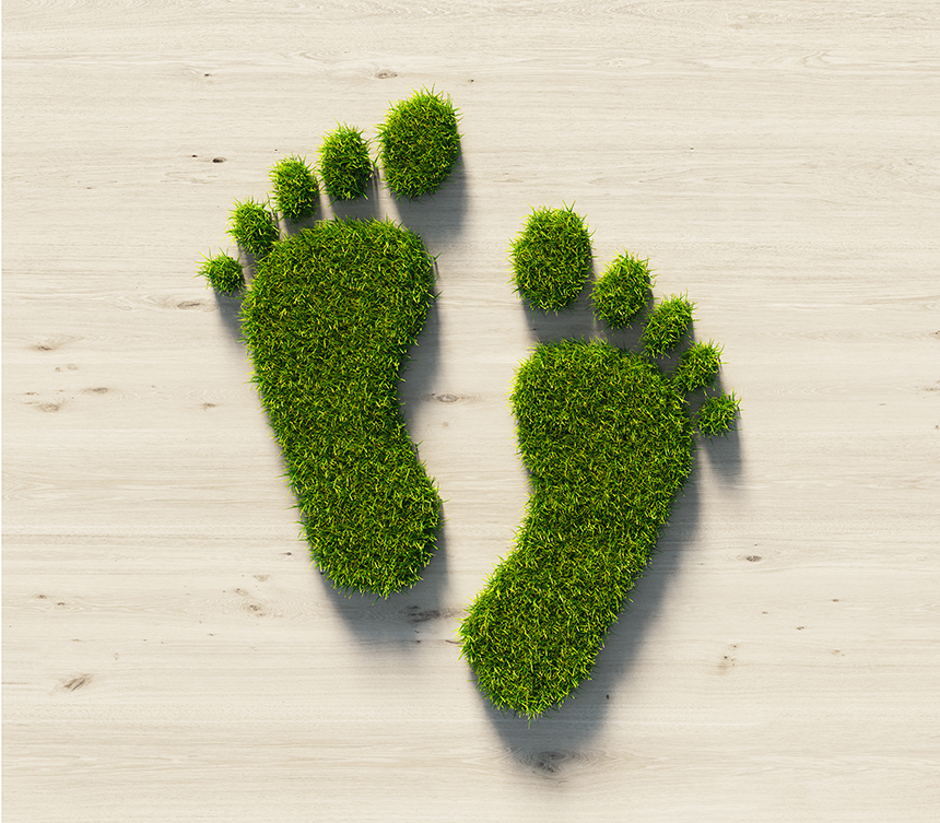 Feet